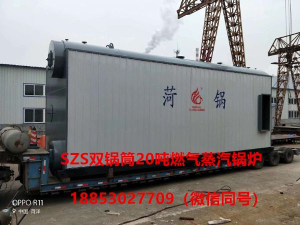 20噸燃?xì)庹羝仩t.jpg